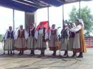  - Stepnicki Festiwal Folklorystyczny - zdjęcie nr 1