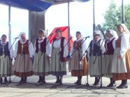  - Stepnicki Festiwal Folklorystyczny - zdjęcie nr 2