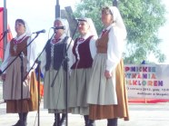 - Stepnicki Festiwal Folklorystyczny - zdjęcie nr 3