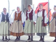  - Stepnicki Festiwal Folklorystyczny - zdjęcie nr 4