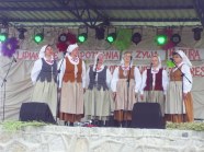  - Lipiany 2013 - zdjęcie nr 11