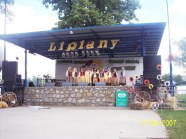  - Wojewódzki Przegląd Amatorskiego Ruchu Artystycznego w Lipianach - zdjęcie nr 10