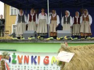  - Dożynki Gminne w Żółwiej Błoci 06.09.08r., dożynki w Moryniu i Dębnie 07.09.08r., Dożynki w Dobrej Nowogardzkiej 21.09.08r. - zdjęcie nr 7