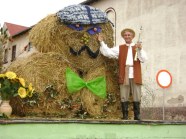  - Dożynki Gminne w Żółwiej Błoci 06.09.08r., dożynki w Moryniu i Dębnie 07.09.08r., Dożynki w Dobrej Nowogardzkiej 21.09.08r. - zdjęcie nr 10