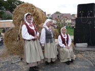  - Dożynki Gminne w Żółwiej Błoci 06.09.08r., dożynki w Moryniu i Dębnie 07.09.08r., Dożynki w Dobrej Nowogardzkiej 21.09.08r. - zdjęcie nr 19