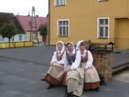  - Dożynki Gminne w Żółwiej Błoci 06.09.08r., dożynki w Moryniu i Dębnie 07.09.08r., Dożynki w Dobrej Nowogardzkiej 21.09.08r. - zdjęcie nr 21