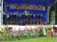  - Nowogardzkie Spotkania z Folklorem - zdjęcie nr 13