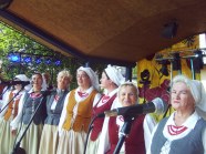  - Dożynki w Krzęcinie - zdjęcie nr 5