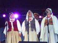  - Wiejski Festiwal Sztuki w Strzelewie - zdjęcie nr 16