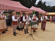  - Dożynki w Witkowie - zdjęcie nr 22