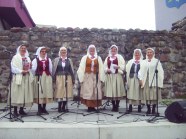  - Śpiewanie piesni patriotycznych na plantach wraz z publicznoscią - zdjęcie nr 2