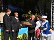  - Dożynki w Bierzwniku - zdjęcie nr 7