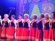  - 17 Ogólnopolski Przegląd ARS we Włocławku (k/Bydgoszczy ) - zdjęcie nr 17