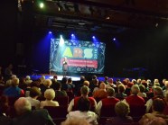  - 17 Ogólnopolski Przegląd ARS we Włocławku (k/Bydgoszczy ) - zdjęcie nr 19