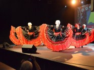  - 17 Ogólnopolski Przegląd ARS we Włocławku (k/Bydgoszczy ) - zdjęcie nr 33