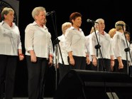  - Raz na ludowo - zdjęcie nr 4