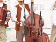  - VIII przegląd Kapel ludowych podczas XXXII Barzkowickich Targów Rolnych AGRO POMERANIA 2019 - zdjęcie nr 13