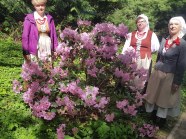  - I Festiwal Tradycji Pomorza Zachodniego w Przelewicach - zdjęcie nr 6