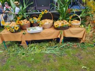  - Czas Dożynek - zdjęcie nr 27