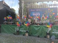  - V Festiwal Tradycji Pomorza Zachodniego. Przelewice 2026r. - zdjęcie nr 10