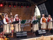  - Dożynki Gminne w Mostach - zdjęcie nr 14