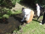  - Festiwal Hanzeatycki 2011 - zdjęcie nr 72