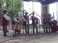  - Stepnicki Festiwal Folklorystyczny - zdjęcie nr 9